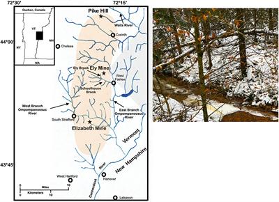 Isolation and Genome Analysis of an Amoeba-Associated Bacterium Dyella terrae Strain Ely Copper Mine From Acid Rock Drainage in Vermont, United States